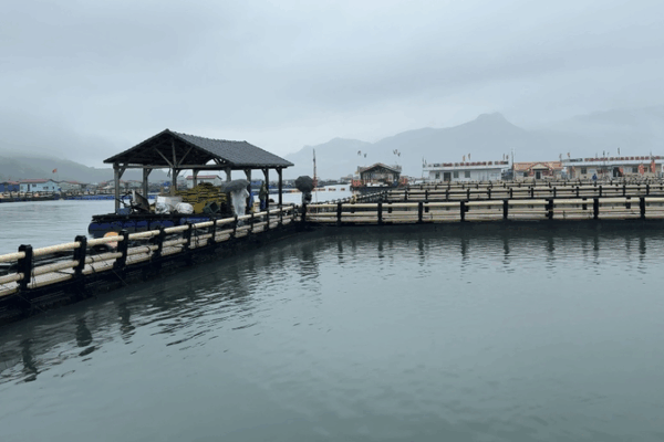 ๐ Sandu’aoโs Eco-Revolution: Fishing Village Goes Green for World Ocean Day! ๐ Sandu'aoโs Eco-Revolution: Fishing Village Goes Green for World Ocean Day! video poster