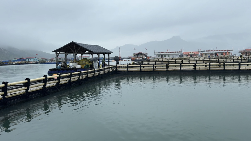 🌊 Sandu'ao’s Eco-Revolution: Fishing Village Goes Green for World Ocean Day! video poster