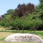 Xi'an's Pomegranate Trees Blossom as Symbols of China-Central Asia Unity 🌍✨ video poster