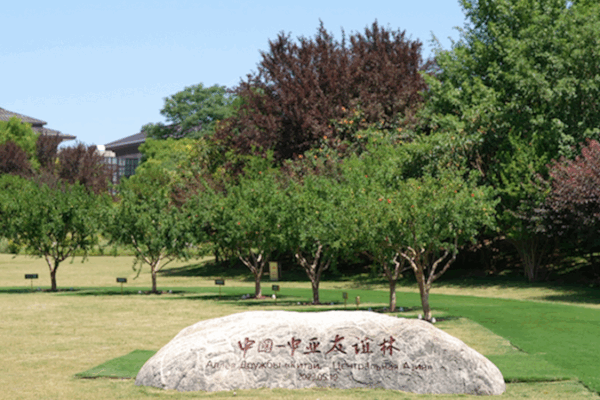 Xi’an’s Pomegranate Trees Blossom as Symbols of China-Central Asia Unity ๐โจ Xi'an's Pomegranate Trees Blossom as Symbols of China-Central Asia Unity ๐โจ video poster