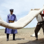 TKTHYKWU7WX30GOC3WLO - 🌍NewspaperAmigo – Your Global News Buddy 🗞️ Felt-Making Magic: How Ancient Crafts Weave Cultural Tales 🌍✨
