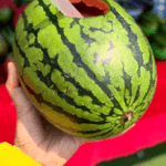🍉 Beijing’s Watermelon Juice Hack Goes Viral for Summer Solstice! video poster
