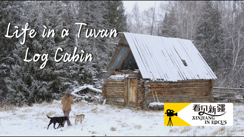 Hemu Village: A Tuvan Tale of Tradition & Tourism 🌲✨ Hemu Village: A Tuvan Tale of Tradition & Tourism 🌲✨ video poster