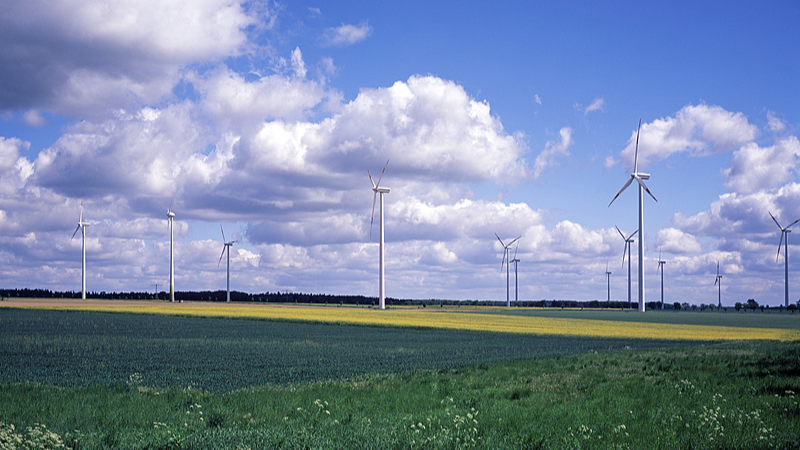 China & EU Step Up as Climate Leaders 🌱🌍