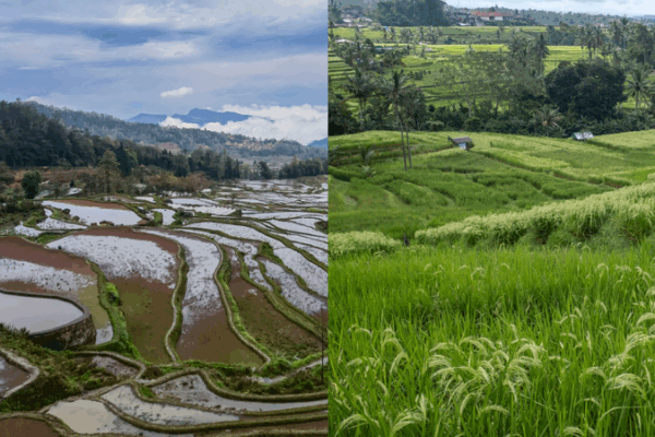 Ancient Irrigation Wonders Boost Eco-Tourism in China & Indonesia 🌾🌍 Ancient Irrigation Wonders Boost Eco-Tourism in China & Indonesia 🌾🌍