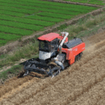 WCK717785ZH1AQ3LM5EN - 🌍NewspaperAmigo – Your Global News Buddy 🗞️ 🌾 Grain in Ear: China’s Farmers Race Against the Rain ⏰