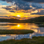 From Sands to Sustainability: China’s Green Revolution 🌱🏜️