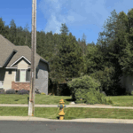 WM5ME0R5BLX6N4B9TTSN - 🌍NewspaperAmigo – Your Global News Buddy 🗞️ 🔥 Idaho Firefighters Ambushed: 2 Dead in Ongoing Standoff 🌲💔