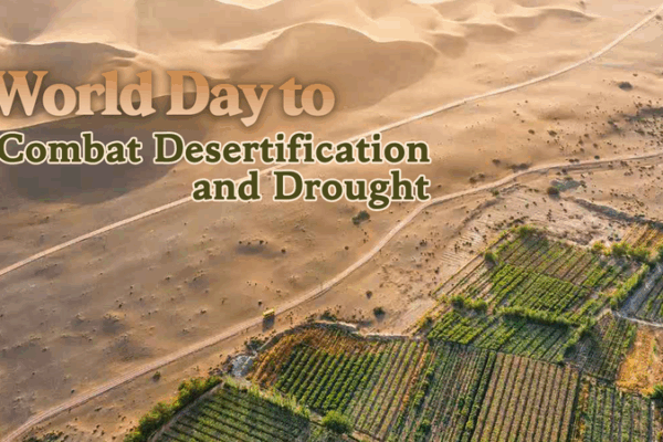 🌱 Land Restoration: The Green Gold Rush of 2025? 🌱 Land Restoration: The Green Gold Rush of 2025?