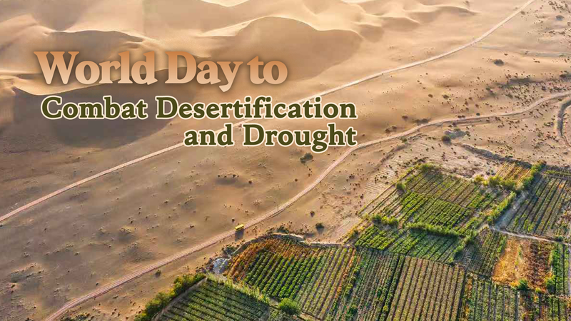 🌱 Land Restoration: The Green Gold Rush of 2025?