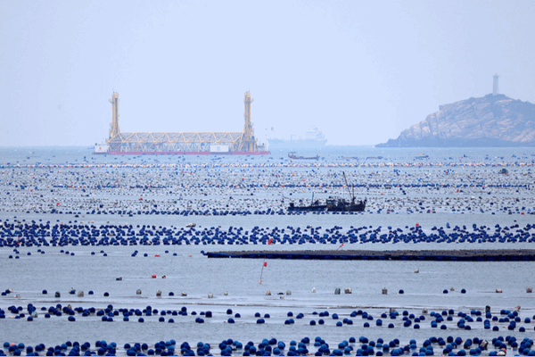 Blue Carbon: The Ocean’s Hidden Superpower Against Climate Change? 🌊🌍 Blue Carbon: The Ocean’s Hidden Superpower Against Climate Change? 🌊🌍