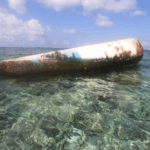 YNMJ80TPIXGF9D99MPJC - 🌍NewspaperAmigo – Your Global News Buddy 🗞️ South China Sea Doc Sparks Debate Over Fishing Realities 🌊🎥