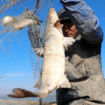 Z1L6FTWUYBS25PTWURMQ - 🌍NewspaperAmigo – Your Global News Buddy 🗞️ 🌊 China’s Fishing Communities Ride the Wave of Maritime Innovation 🚢