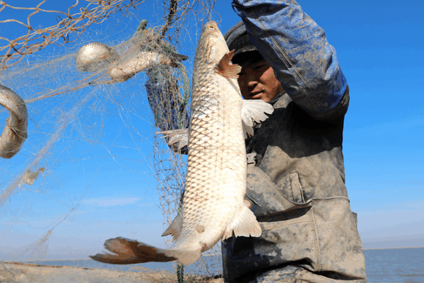 π Chinaβs Fishing Communities Ride the Wave of Maritime Innovation π’ π Chinaβs Fishing Communities Ride the Wave of Maritime Innovation π’