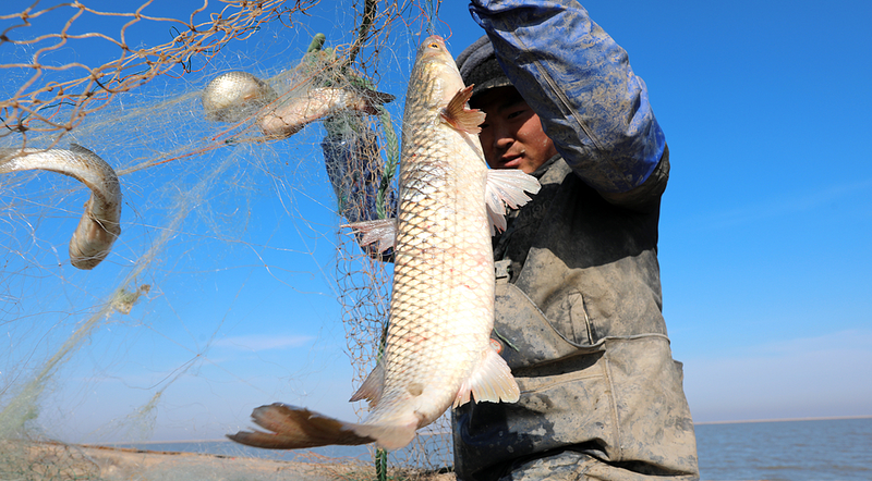 🌊 China’s Fishing Communities Ride the Wave of Maritime Innovation 🚢