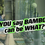 ZJ3KVOV1O1M96PV38COV - 🌍NewspaperAmigo – Your Global News Buddy 🗞️ 🌱 China’s Bamboo Boom: A Green Fix for the Plastic Crisis? video poster