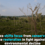1MGX5ZVXMN4CI7W6XGTS - 🌍NewspaperAmigo – Your Global News Buddy 🗞️ Mexico Pivots to Ecosystem Restoration in Climate Fight 🌱🌎 video poster