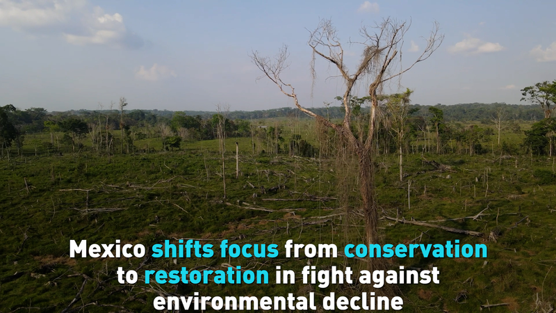Mexico Pivots to Ecosystem Restoration in Climate Fight 🌱🌎 video poster