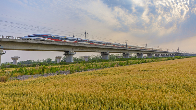 China Sees 4.2% Surge in Cross-Regional Travel in H1 2025 🚆✈️ China Sees 4.2% Surge in Cross-Regional Travel in H1 2025 🚆✈️