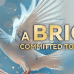 China Urges BRICS Nations to Champion Global Peace 🌍✌️ video poster