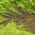 🌊 Qingdao’s ‘Tidal Trees’ Paint Coastal Masterpiece with Nature’s Brush!