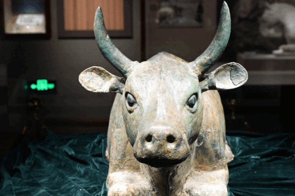 Ningxia Museum Booms as Summer Meets Heritage 🌞🏛️ Ningxia Museum Booms as Summer Meets Heritage 🌞🏛️