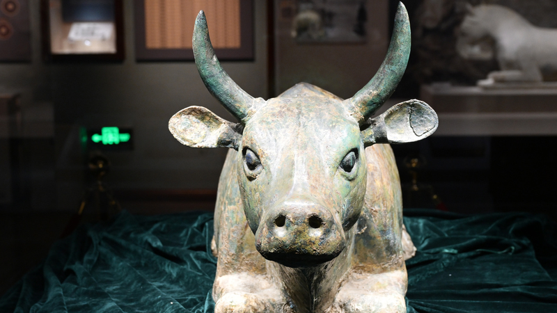 3XFQPYO4V0VDD005CBSF - 🌍NewspaperAmigo – Your Global News Buddy 🗞️ Ningxia Museum Booms as Summer Meets Heritage 🌞🏛️