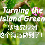 6GCS91GDS1OEJ50JL53M - 🌍NewspaperAmigo – Your Global News Buddy 🗞️ From Barren to Blooming: Yongxing Island’s Green Revolution 🌱 video poster