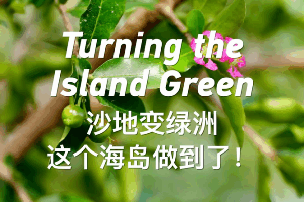 From Barren to Blooming: Yongxing Island’s Green Revolution 🌱 From Barren to Blooming: Yongxing Island’s Green Revolution 🌱 video poster