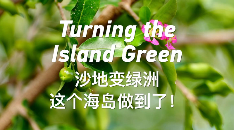 6GCS91GDS1OEJ50JL53M - 🌍NewspaperAmigo – Your Global News Buddy 🗞️ From Barren to Blooming: Yongxing Island’s Green Revolution 🌱 video poster