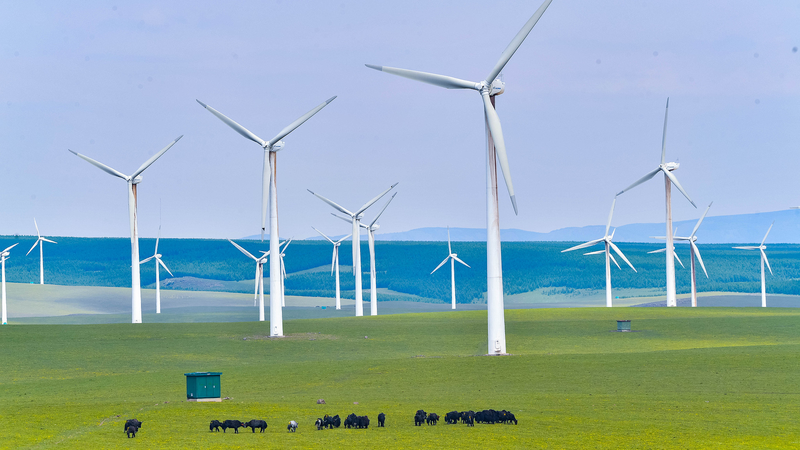 China & Denmark Boost Green Energy Ties on 75th Anniversary 🌱💡