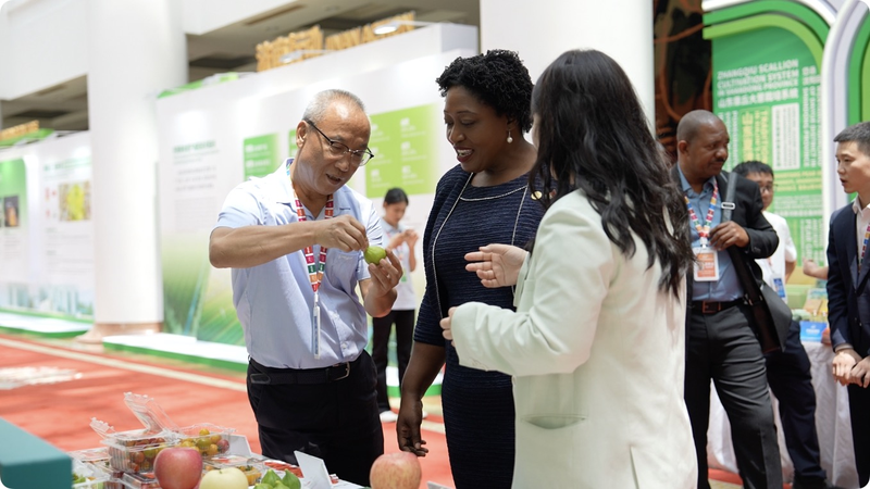 🌱 Smart Farming Meets Spring City: Jinan’s High-Tech Harvest 🌱 Smart Farming Meets Spring City: Jinan's High-Tech Harvest