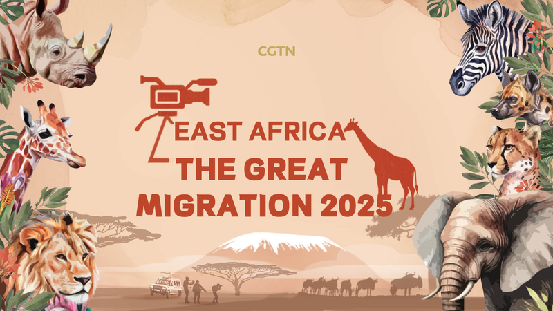 8NG3UGSV2H9H2IGR5EIH - 🌍NewspaperAmigo – Your Global News Buddy 🗞️ Beyond the Big Five: Kenya’s Wildlife Wonders Go Live 🌍🦒 video poster