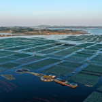 🌱 Norway Pushes for Stronger Green Ties with China to Boost Climate Action & Economy