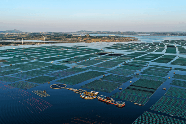 🌱 Norway Pushes for Stronger Green Ties with China to Boost Climate Action & Economy 🌱 Norway Pushes for Stronger Green Ties with China to Boost Climate Action & Economy