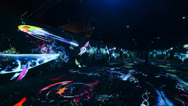 9R3JB9H9SIKJQK3NNGYW - 🌍NewspaperAmigo – Your Global News Buddy 🗞️ Dive into 'Meet the Ocean' 🐋 Beijing's New Eco-Art Exhibition!