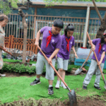 ABBAJ76GCJYNYVBONQ4M - 🌍NewspaperAmigo – Your Global News Buddy 🗞️ 🌱 Beijing’s Urban Farm Lab Turns Trash into Fresh Veggies! video poster