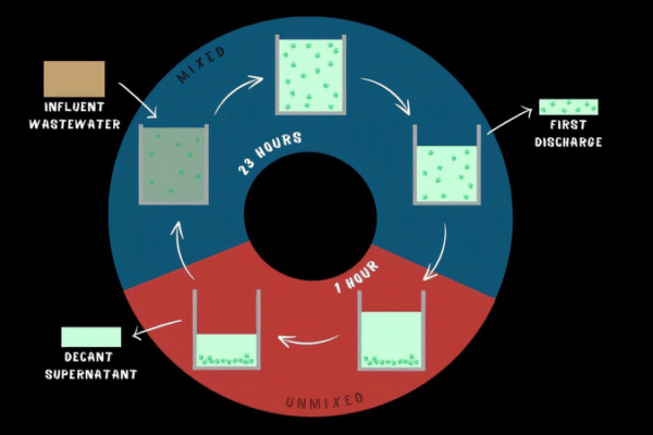 Algae Power: Green Solution for Drought Regions 🌱💧 Algae Power: Green Solution for Drought Regions 🌱💧