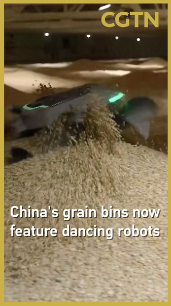 China’s Grain Bins Get a Robotic Dance Crew 🌾🤖 China’s Grain Bins Get a Robotic Dance Crew 🌾🤖 video poster