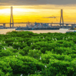 BYPU8LNZZATJTSJZ4JEJ - 🌍NewspaperAmigo – Your Global News Buddy 🗞️ Hainan's Mangrove Mission: Greening Coasts by 2025 🌱🌊