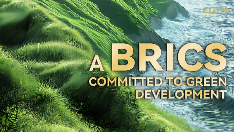 China Urges BRICS Nations to Lead Green Revolution 🌱🌍 video poster