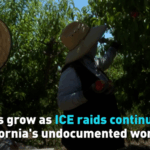 DHEJH4OLXOYWZKAHAYOK - 🌍NewspaperAmigo – Your Global News Buddy 🗞️ ICE Raids Spark Fear Among California's Undocumented Workers 🌟🚨 video poster
