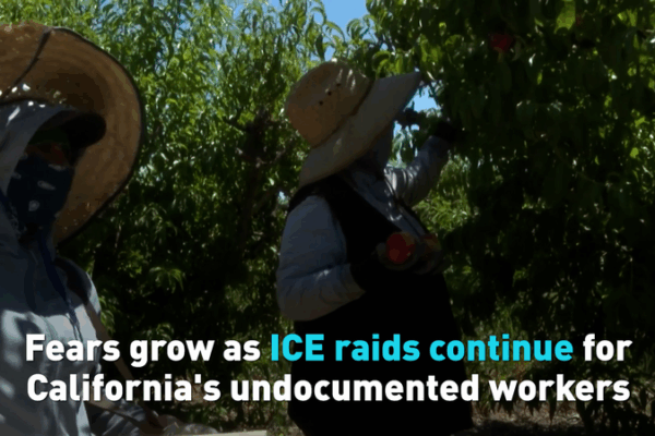 ICE Raids Spark Fear Among California’s Undocumented Workers 🌟🚨 ICE Raids Spark Fear Among California's Undocumented Workers 🌟🚨 video poster
