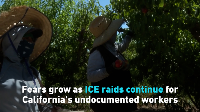 ICE Raids Spark Fear Among California's Undocumented Workers 🌟🚨 video poster