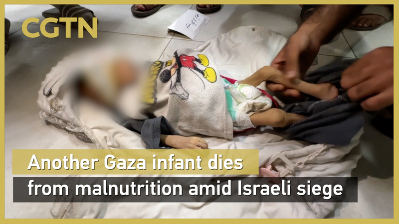 Gaza Infant Deaths Spike as Malnutrition Crisis Deepens Under Siege 🌍💔 Gaza Infant Deaths Spike as Malnutrition Crisis Deepens Under Siege 🌍💔 video poster