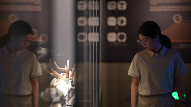 Unlocking the Mysteries of China's 'Oriental Pyramids' 🏰✨ video poster