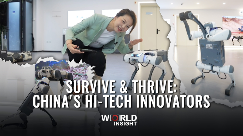 🚀 China’s Tech Innovators Defy Odds to Thrive 🌟 🚀 China’s Tech Innovators Defy Odds to Thrive 🌟 video poster