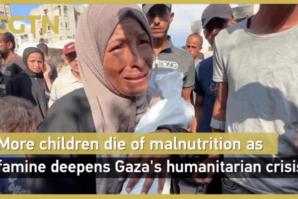 Gaza Faces ‘Man-Made Mass Starvation’ as Crisis Deepens: WHO ๐จ Gaza Faces 'Man-Made Mass Starvation' as Crisis Deepens: WHO ๐จ video poster