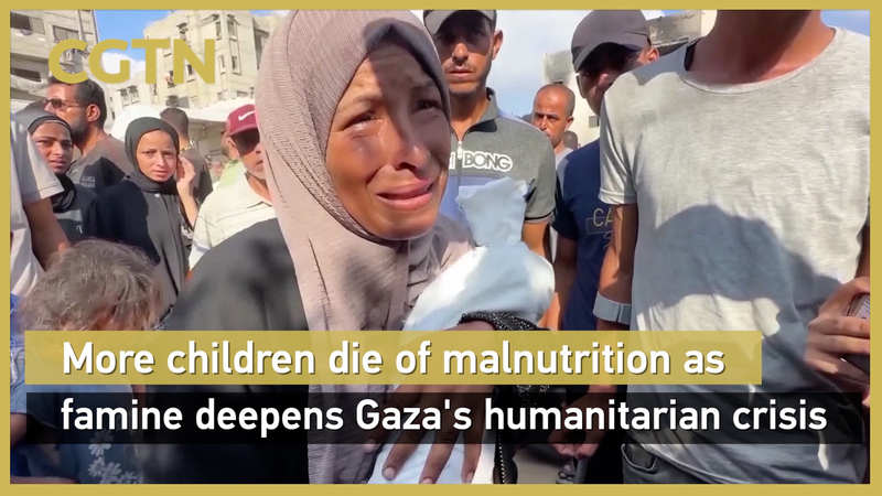 FD4HHX9582RUYVX9K88F - 🌍NewspaperAmigo – Your Global News Buddy 🗞️ Gaza Faces 'Man-Made Mass Starvation' as Crisis Deepens: WHO 🚨 video poster