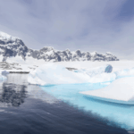 GCDLIGPELB81IKY4VECV - 🌍NewspaperAmigo – Your Global News Buddy 🗞️ Antarctica’s Ice Crisis: Wildlife & Climate at Risk 🌏❄️